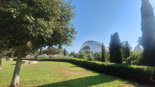 Blick in einen grünen Park. Links im Vordergrund ein Laubbaum. Im Hintergrund ist ein großes modernes Gebäude zu sehen.